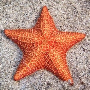 Meet your Posher, Nathan